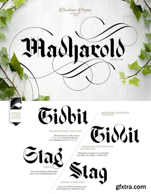 Osgard Pro | Font