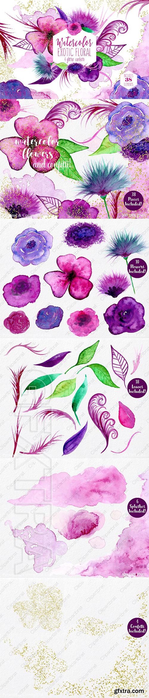 CreativeMarket - Exotic Florals & Feathers 2180680