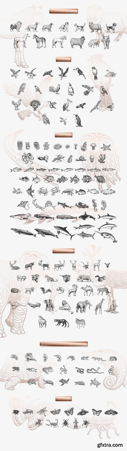 CM - 160 Animals • Hand Drawn 1812147