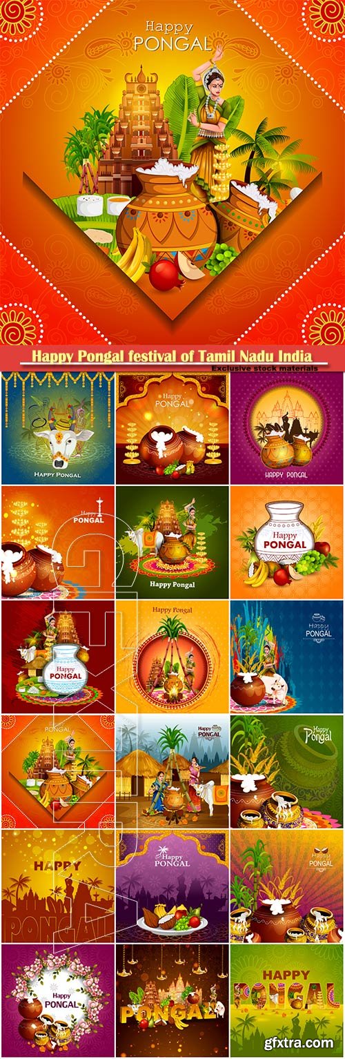 Happy Pongal festival of Tamil Nadu India vector background