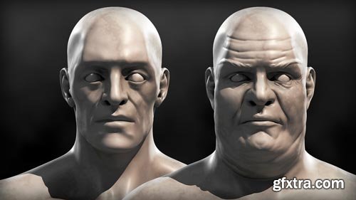 Altering Body Weight in ZBrush