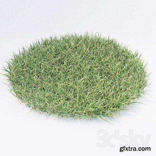 High-poly Grass. Natural and Realistic