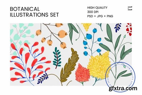 Botanical Illustration Set 1