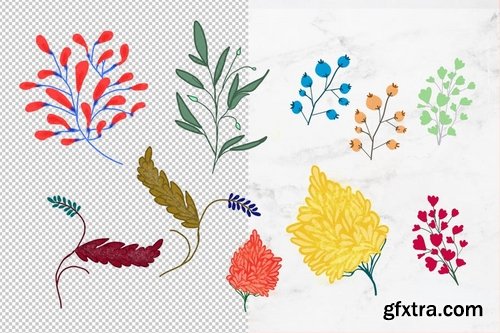 Botanical Illustration Set 1