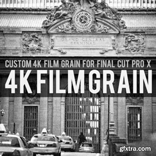 Brooklyn Effects - 4K Custom Film Grain For Final Cut Pro X