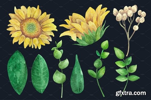 CM - Watercolor rustic flowers clip art 2174732