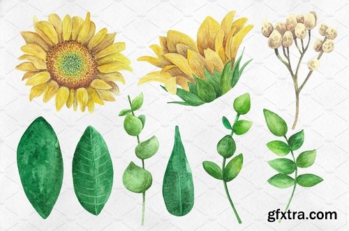 CM - Watercolor rustic flowers clip art 2174732