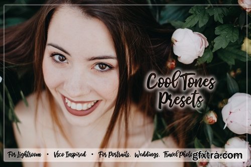 CM - Cool Tones Presets 2183860