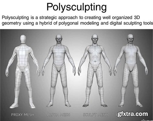 CGSociety – Polysculpting – Learn to create any 3D form in any software