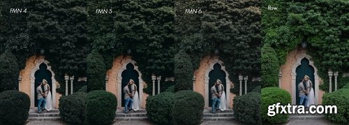 CM - Cool Tones Presets 2183860