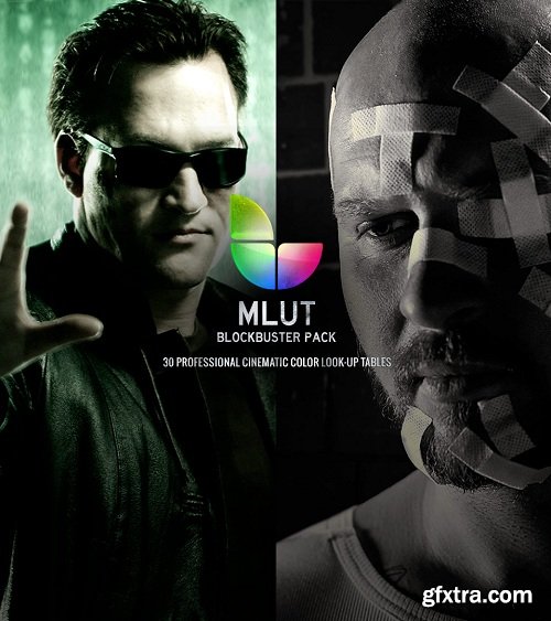 MotionVFX - mLUT Blockbuster Pack - 30 Professional Cinematic Color Look-Up Tables (Win/Mac)