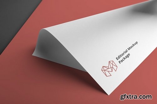 Poster  A4 Letterhead Mockup Vol 1