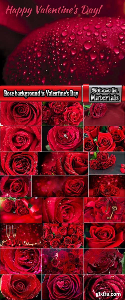 Rose background is Valentine\'s Day gift petal red flower 25 HQ Jpeg