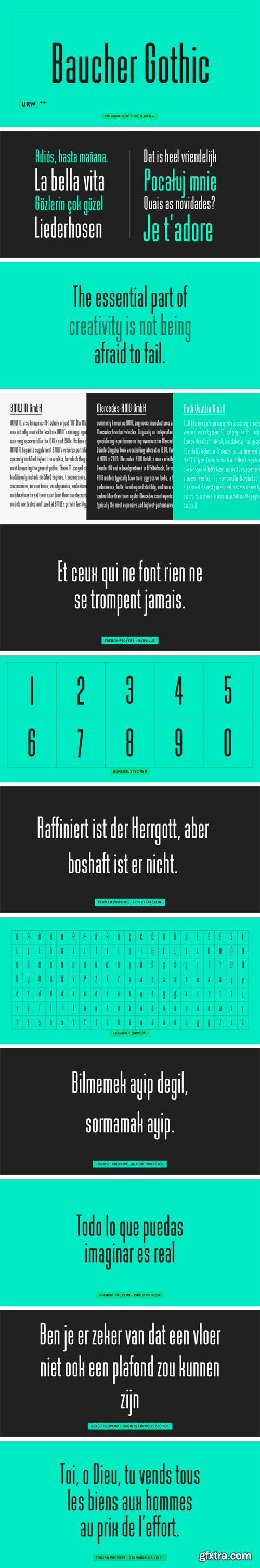 Baucher Gothic Font Family