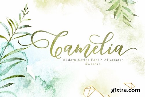 CM - Camelia Script 2182835