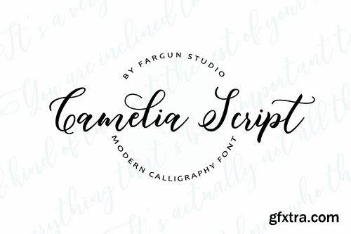 CM - Camelia Script 2182835