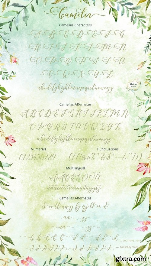 CM - Camelia Script 2182835