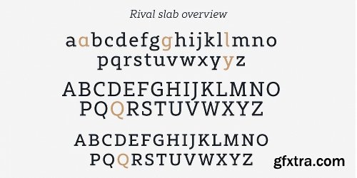 Rival Slab  Font Family - 16 Fonts