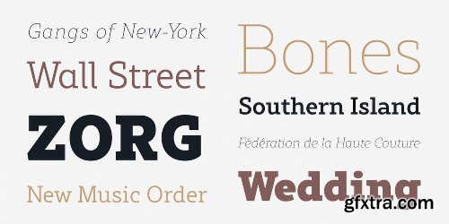 Rival Slab  Font Family - 16 Fonts