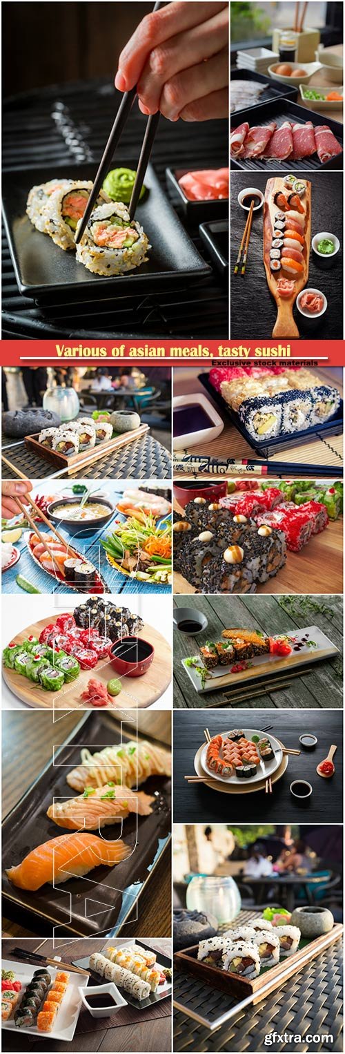 Various of asian meals, tasty sushi