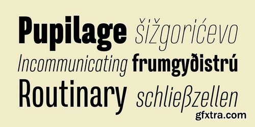 Naratif Condensed Font Family