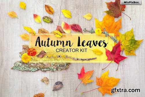 CM - Autumn Leaves - Creator Kit 1977039