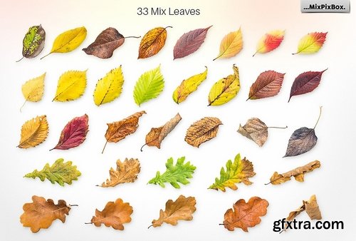 CM - Autumn Leaves - Creator Kit 1977039