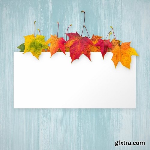 CM - Autumn Leaves - Creator Kit 1977039