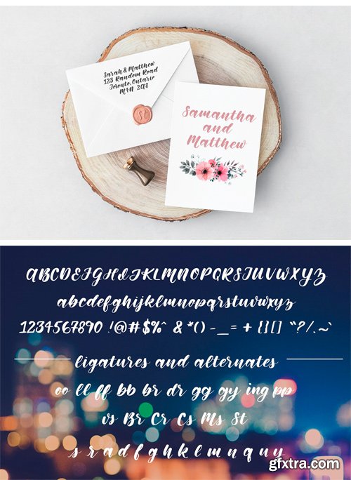 CM - Memphis Park Script Font 2174224