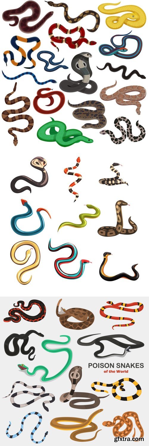 Vectors - Different Snakes Set