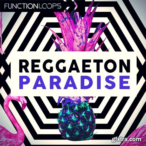 Function Loops Reggaeton Paradise WAV MiDi LENNAR DiGiTAL SYLENTH1 REVEAL SOUND SPiRE-DISCOVER