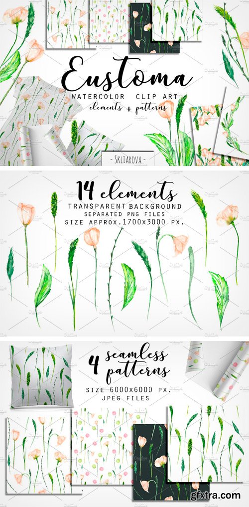 CM - Eustoma Spring. Watercolor Clip Art. 2165193