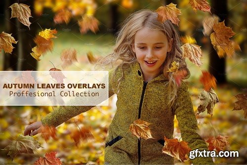 CM - Autumn Leaves Overlays 2186859