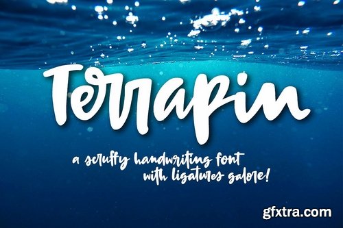 CM - Terrapin a scrappy handwriting font 1737258