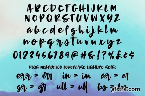 CM - Terrapin a scrappy handwriting font 1737258