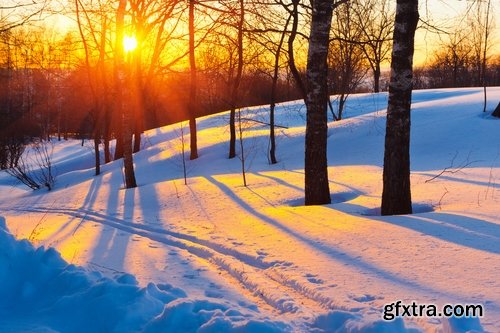 Winter forest snow tree sunrise snowfall 3-25 HQ Jpeg