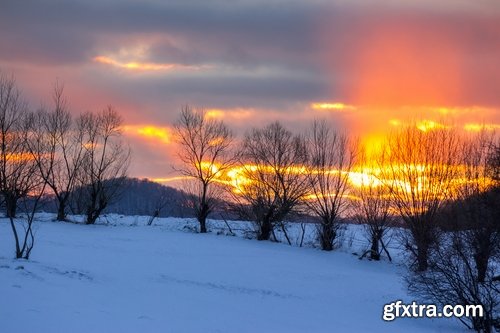 Winter forest snow tree sunrise snowfall 3-25 HQ Jpeg