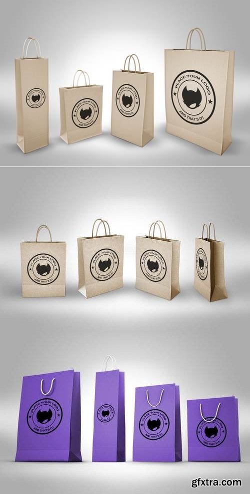 Paper Bag Mock Up