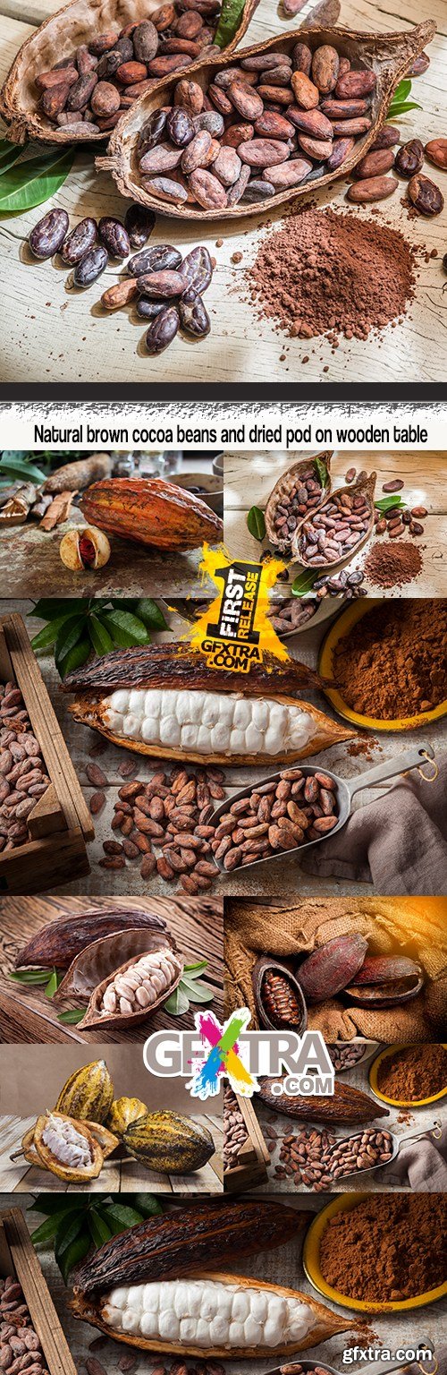 Natural brown cocoa beans and dried pod on wooden table