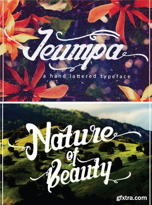 Collection of 10 Unique Fonts Familys - 47 Fonts