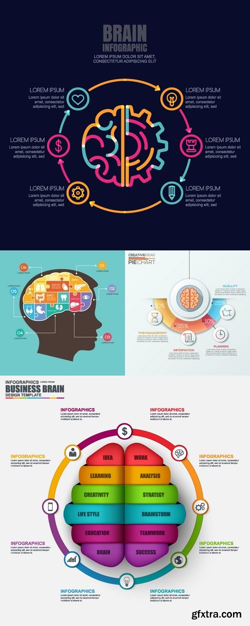 Vectors - Brain Infographics Backgrounds 16