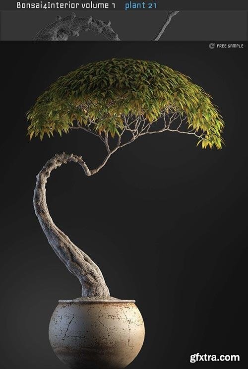 Bonsai Plant 21 3d Model