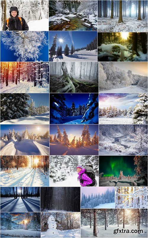 Winter forest snow tree sunrise snowfall 25 HQ Jpeg