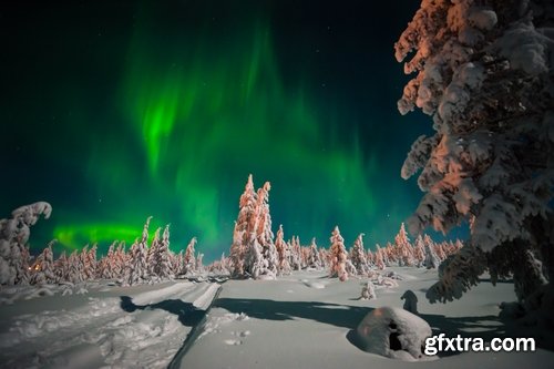 Winter forest snow tree sunrise snowfall 25 HQ Jpeg