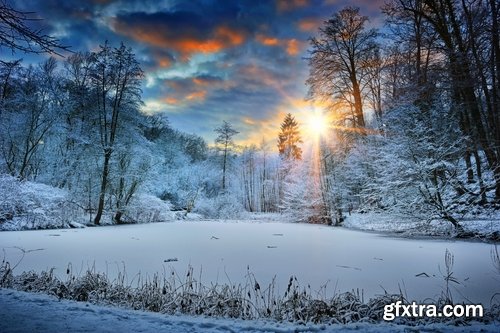 Winter forest snow tree sunrise snowfall 25 HQ Jpeg