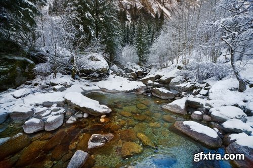 Winter forest snow tree sunrise snowfall 25 HQ Jpeg