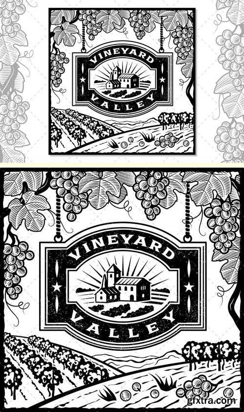 Vineyard Valley Black And White