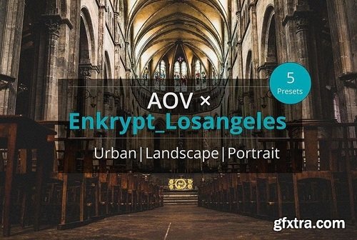 AOV X Enkrypt losangeles Lightroom Presets