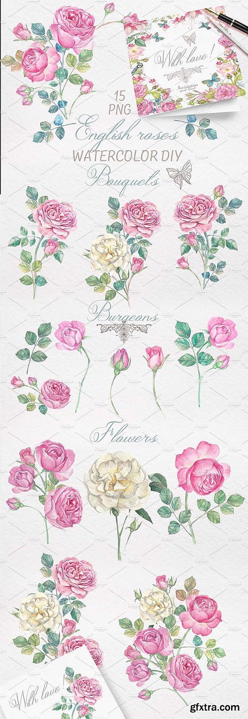 CM - Hand drawn watercolor english roses 332037
