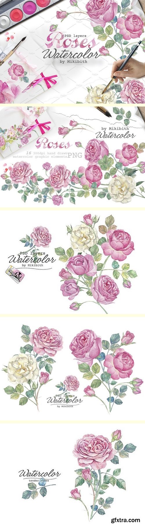 CM - Hand drawn watercolor english roses 332037